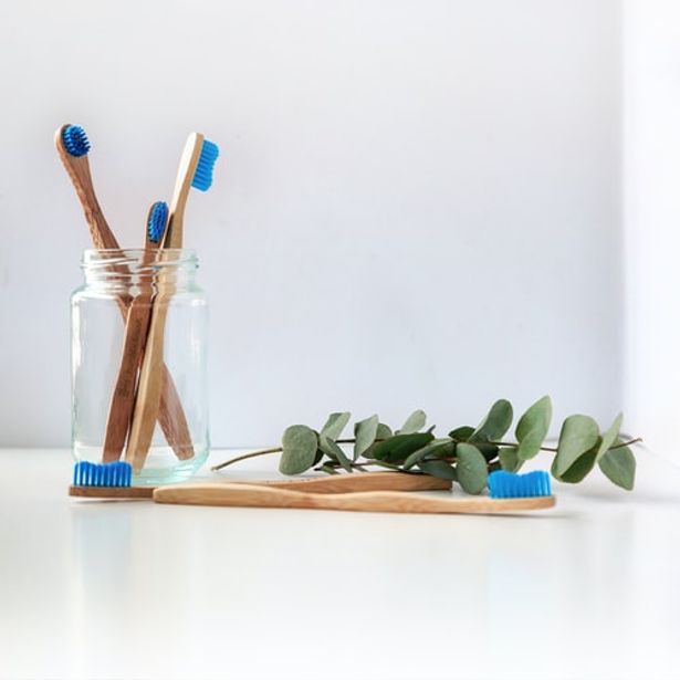 Clean toothbrushes beside a cut plant